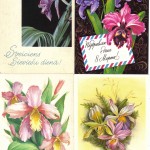 на открытках 0016 150x150 - Орхидеи на открытках