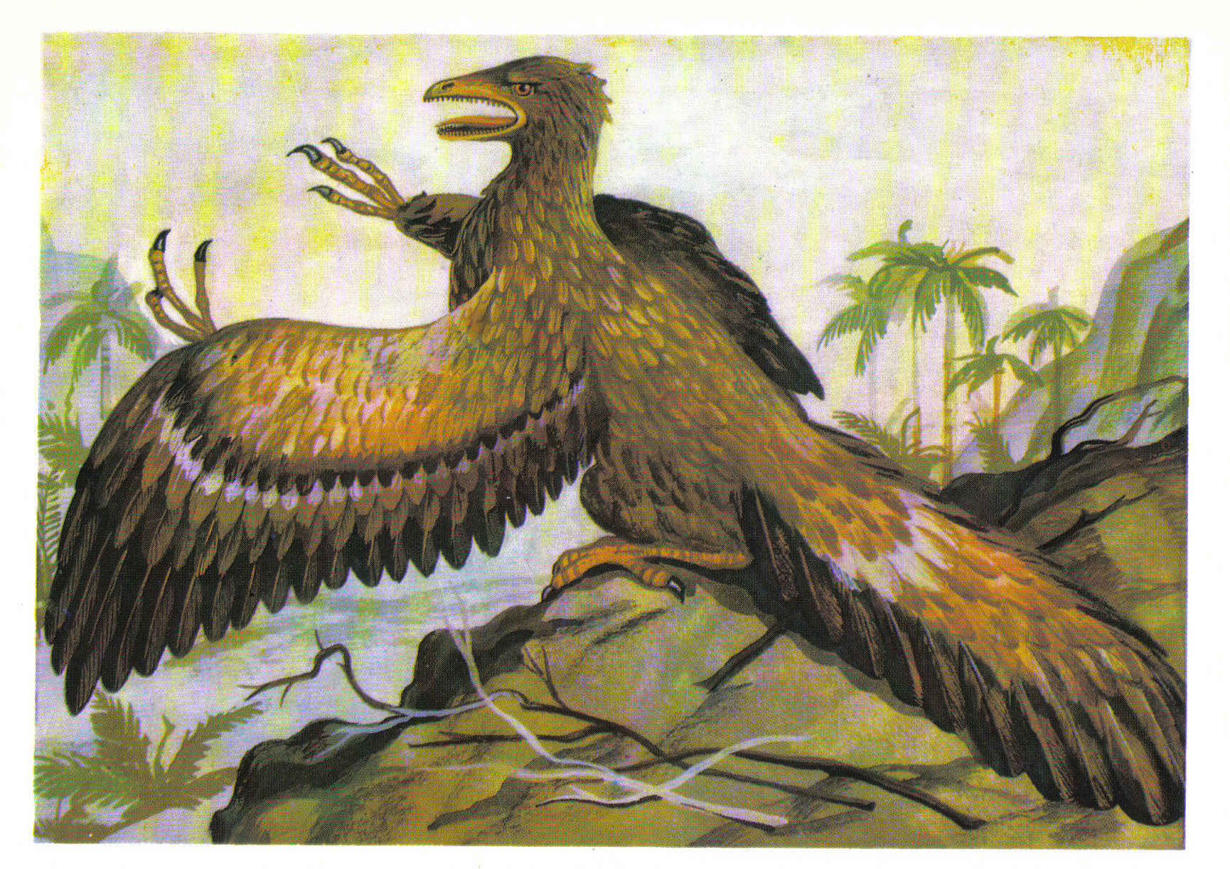 Old bird. Археоптерикс Эра. Древняя птица Археоптерикс. Предок птиц Археоптерикс. Археоптерикс Эра и период.