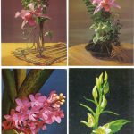 Открытка Орхидеи на открытках 0011 150x150 - Цветы