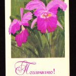 Орхидеи на открытках 0017 150x150 - Цветы